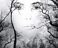 Woman's face in trees